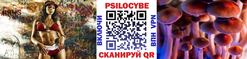 Псилоцибиновые грибы MAGIC MUSHROOMS  где продают наркотики  Магас 