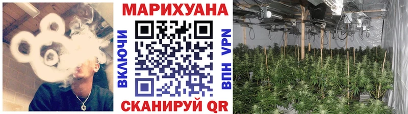 Бошки Шишки Amnesia  Магас 